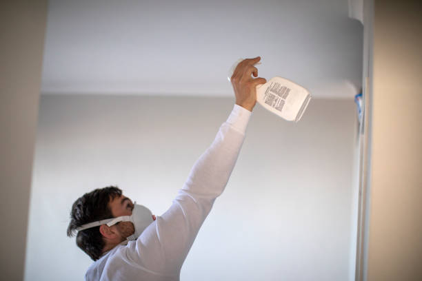 Trusted Port Chester, NY Mold Remediation Experts